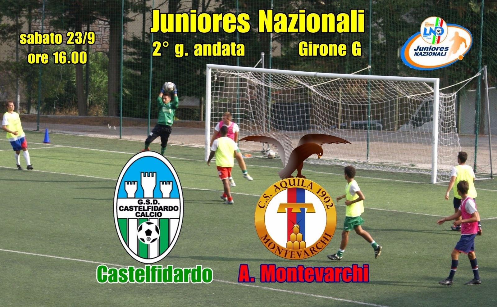 juniores