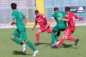 (foto di Massimiliano Serenelli)