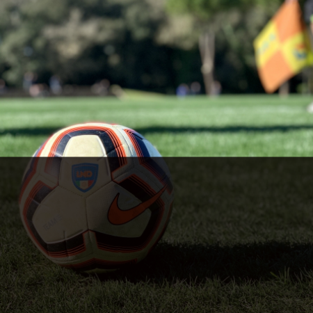 PALLONE
