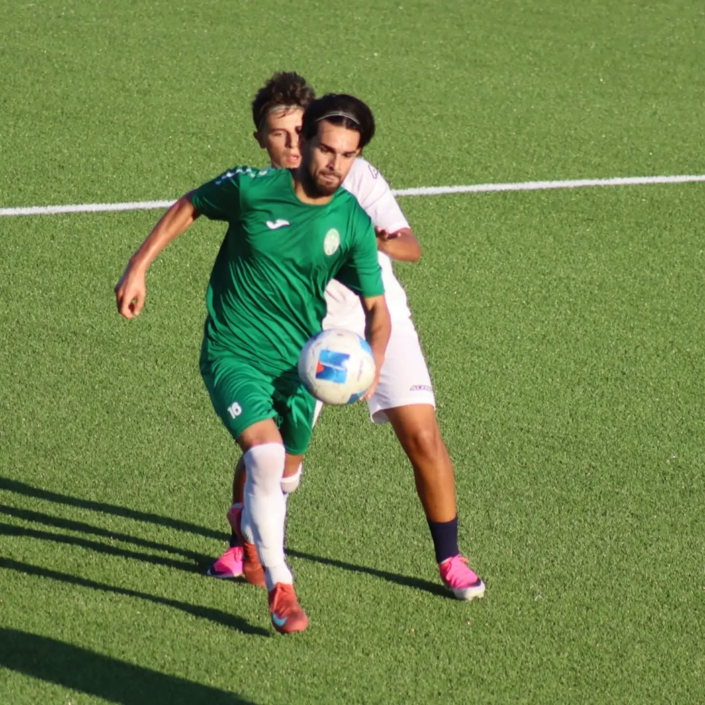 Nacciarriti L.